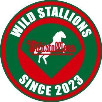 wildstallions9 Profile Picture