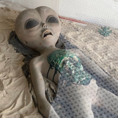 Codesterlol's profile picture. Self diagnosed billionaire