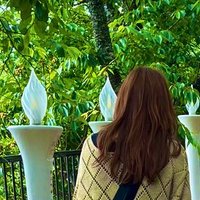 ๐ ๐ ๐ ๐ฆ ๐ฃ ๐ฆ (@guruguru_mt_) 's Twitter Profile