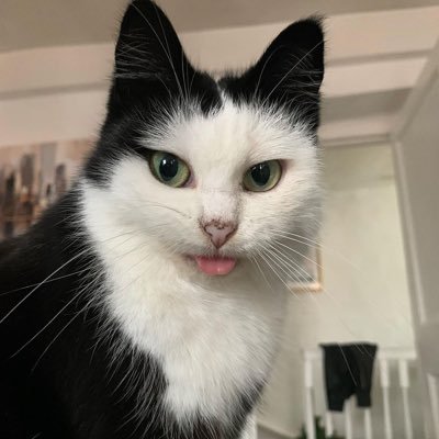 sirlently's profile picture. 