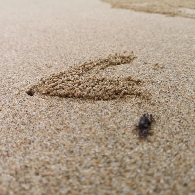 o_o_JT_o_o's profile picture. ไม่มีเวลาก็จะหามาให้ ^^ SONE forever 🩷 Mami Becky 🧚‍♀️🦦เชียร์ #เบคฟรีน