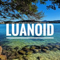 Luanoid(@luanoid) 's Twitter Profile Photo