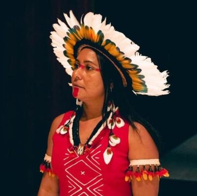 Ativista indígena 🔥 | Cofundadora da @AnmigaOrg | Presidente da @FEPIPA_Oficial | Secretária Estadual dos Povos Indígenas do Pará