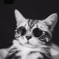 Agung(@_agungdc) 's Twitter Profile Photo Agung(@_agungdc) 's Twitter Profile Photo