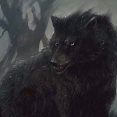 direwolf0523 Profile Picture