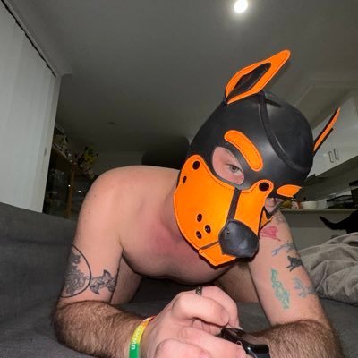 Beta Vers Pup From Australia!, not collared Lone Pup, (Quirky, Mysterious, Trickster, Energetic) are a few ways to describe me. my hooman account is @boyjames22