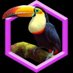 Animal Kingdom Cards (@derocards) Twitter profile photo Animal Kingdom Cards (@derocards) Twitter profile photo