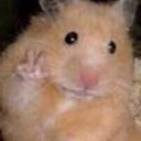 Scott Pearl - @ScottPearl50892 - Twitter