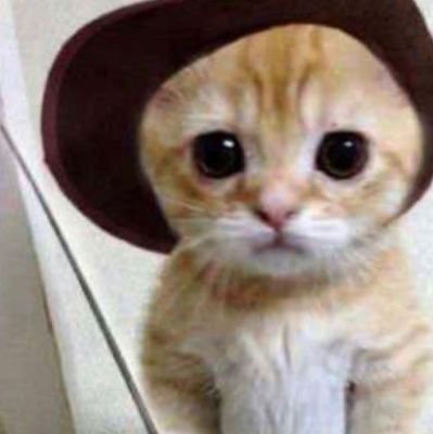Ilovemen_nwn's profile picture. 