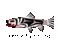 flyfishfernie's profile image