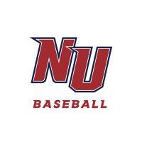 Newman Baseball (@newmanjetsbsb) 's Twitter Profile