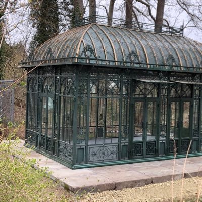 para_lyse's profile picture. not your business