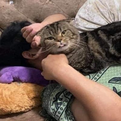 Su_1136's profile picture. جو کوئے یار سے نکلے تو سوئے دار چلے۔