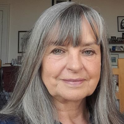 Feminist|oral historian|domestic abuse|women's activism|patriarchy in 20C Scotland | writer book/music reviews | Hon Res Fellow @StrathHaSS exSpringburnlassie