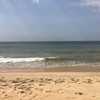 Ligaya_BHARAT's profile picture. Am doing what matters now & need of the hour! #savesoil is a generational responsibility for #consciousplanet! Me an #earthbuddy You also join the movement!