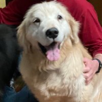 hhardcast (@heath_h1) 's Twitter Profile