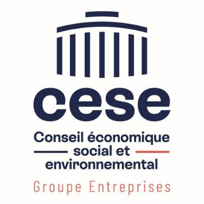 Le Groupe des Entreprises du CESE comprend des conseillers issus des six organisations patronales : MEDEF, CCI, CPME, UDES, FEPEM et FESAC.