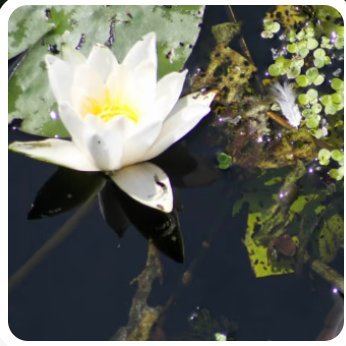 Spiritual advisor and emerging NFT artist https://t.co/Lokp4Pk6YX