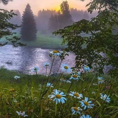 someone68639713's profile picture. 🧜‍♀️