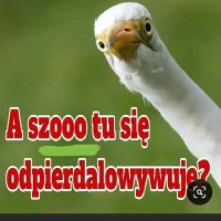 Anna #SnaW πͺπΊπ΅π±π³οΈβπ (@aniazkielc) 's Twitter Profile