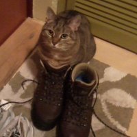 zefir nowa🇵🇱 (@nowa_zefir) 's Twitter Profile