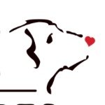 Walk for Dog Guides South Delta (@walk4dogguidesd) 's Twitter Profile