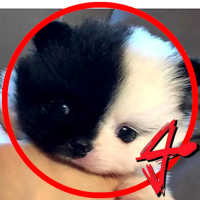 Mushroomπ (@mushroom21888) 's Twitter Profile Photo Mushroomπ (@mushroom21888) 's Twitter Profile Photo