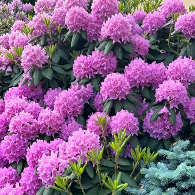 mish2378's profile picture. 