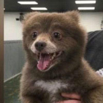 MariaVo47665839's profile picture. 100x leverage full port enjoyer