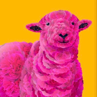 monsterofbit's profile picture. Okay, good stuff.