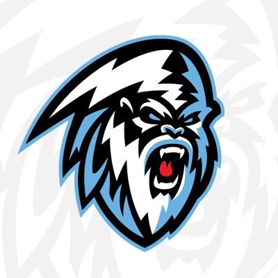 Winnipeg ICE Profile