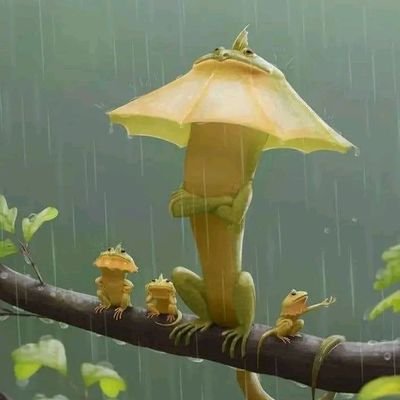 Ibrahim27853772's profile picture. Boi