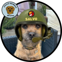 Salvo BT 🐕🦴🐾🎾☀️(@salvo_bt) 's Twitter Profile Photo