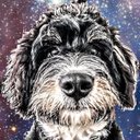 Mitch Krueger - @MitchKrueg89705 - Twitter