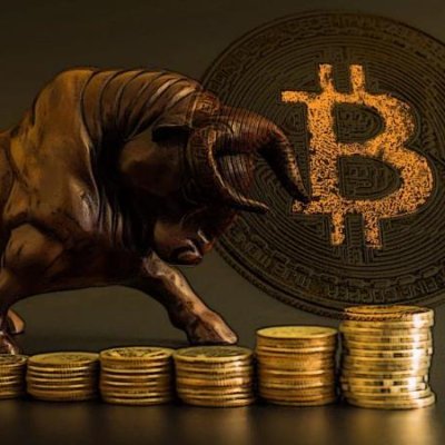 TheCryptoBull_'s profile picture. Crypto Investor & Trader 📈 
Sharing Knowledge 📖
Always Take Profit 💰
Not Financial Advice 🚫

VIP Group closed for new members until further notice