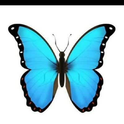 yreem899's profile picture. 