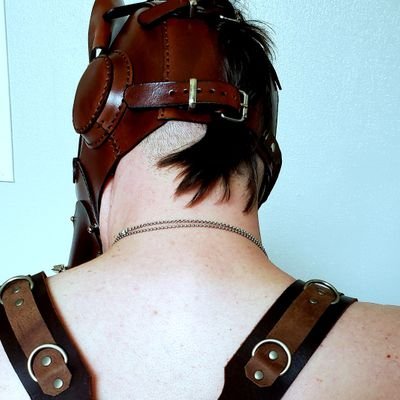🔞 34. 6'5''. TX. I'm a vers/bttm dude.
DMs open, just don't be an asshole.