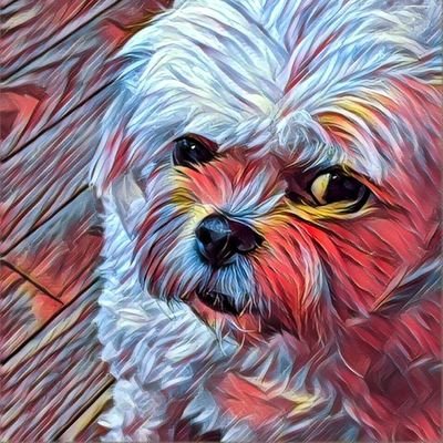 Artist /Painter- Landscapes- Cityscapes- Seascapes-Abstracts-Photography. (Lover of the Truth) #Resistance #Resist **Not interested in DM** (Pro Democracy)