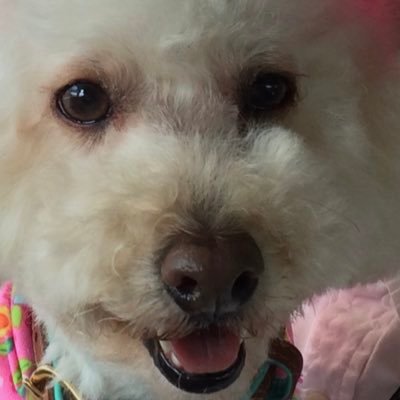 dbdigital's profile picture. God, Family, Music