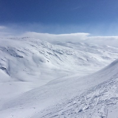 saxjonas_'s profile picture. Analytics by day.