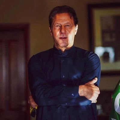 عمران خان کا دیوانہ