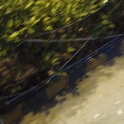 Shoukat27651647's profile picture. 