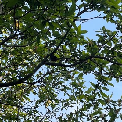 WalkingWithAraz's profile picture. wife, mother, photography, world politics, finance, friends, wine, travel, family values, and most of all Christian ✝️