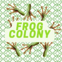 Frog Colony(@FrogColonyBSC) 's Twitter Profile Photo