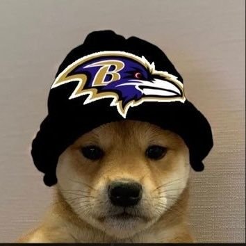 just a ravens and detroit fan