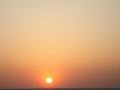 RuthPalancar's profile picture. Soñadora, entusiasta y amante de la psicología. Mente altamente imaginativa y curiosa. Si me sigues, te sigo al 100 %