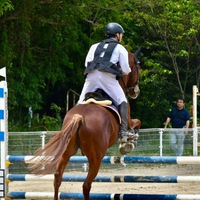 Yu__oze's profile picture. AU21J   🐴🎨📰  
Instagram↓↓↓