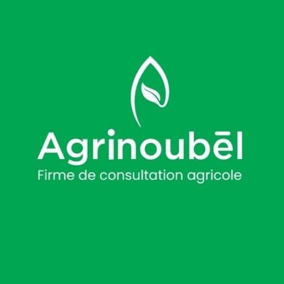 Agrinoubèl: Firme de consultation agricole 🌱