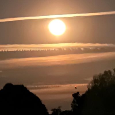 WhyYouMaddBruh's profile picture. 