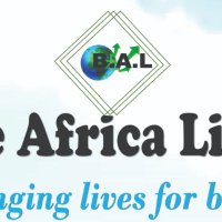 Bonve Africa Limited(@BonveLimited) 's Twitter Profile Photo